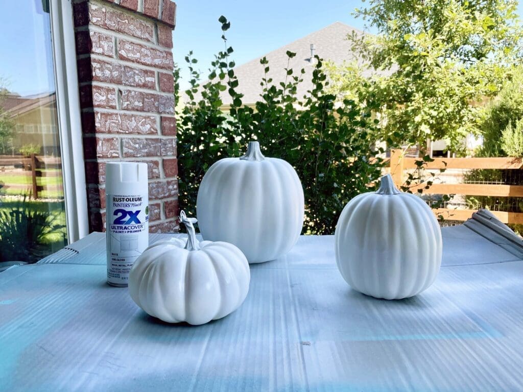 Primed white pumkins