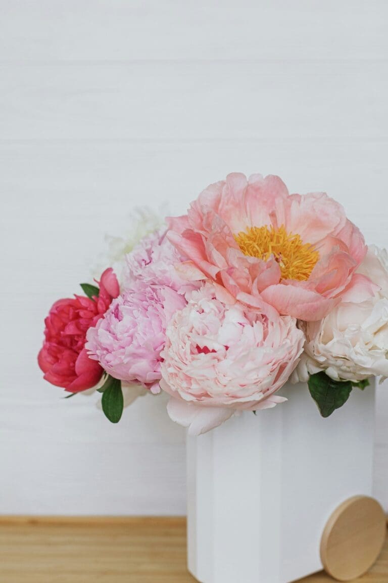 Colorful peonies in a white vase